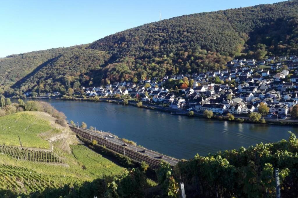 コブレンツ Ferienhaus Chalet Marc Am Moselbogenヴィラ エクステリア 写真